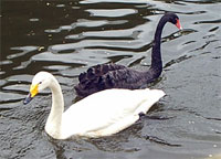 ������� ������ �����!