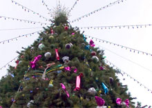 23 ������� ������� ���� ������ �������� ������� � ����� ����� � 35-� ���