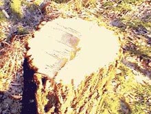 �������� ��������� ��  �������� ������