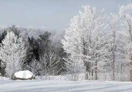 �� ͳ���������� ������� ���������� ������� ��� ��� ���� - �� ��������: ����� � ������ �����