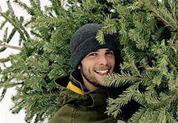 � ���������������� ����� ������� 7 ������� ������� ���������� �������� �� ������� �� ����� ����������� 