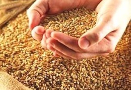 ���� �� �������-��������� �������� � ���