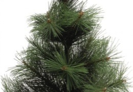 ������ ���� ������ � ������� ��������������