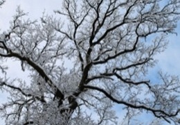 ������� ����� ��������, �� �������