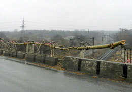 ������ ���������������� ����� �� �������