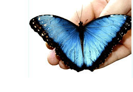 �������� ����������� �����������! ��������� �� ����� ����������� �������!