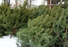 � ��������� ������� �������� �� �������� �� �������� �������