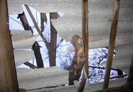 ��� ���� ����� ��� � ���������������� ��������� �� �������� ��������