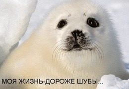 �� ����������� ������� �����  ������������ ������ ���  