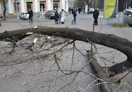 � ��������������� ����� 10 ����� ��������� ��������