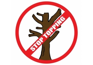 ������������: �� ��������������� ��������� �������� ��������