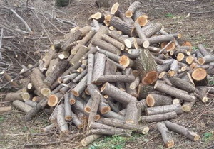 � ���������������� ������� ������ ��������� ������� ����� 100 ��������