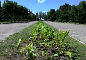 ������� � ����� ���������������� �������� ����� � 10 ��������� ������