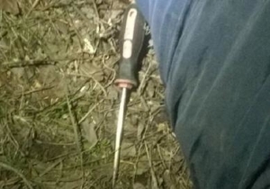 ������� ��������� ����������� �� �������� ��������������