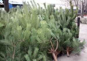 ������� �������� ��������������� �� ���������� ����