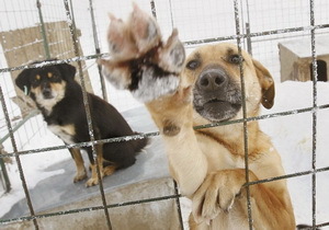  ������� �������� ��������������� �� ����� �������� � ������ � �����������