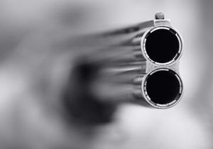 ������ ���������� ��������� � ���������: ���� �� �����