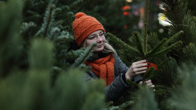 Елочные ярмарки в Каменском откроются 15 декабря
