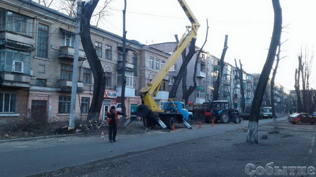 На улице Галины Романовой в Каменском планово обрезали деревья