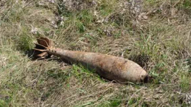 Житель Каменского обнаружил в лесополосе устаревший боеприпас