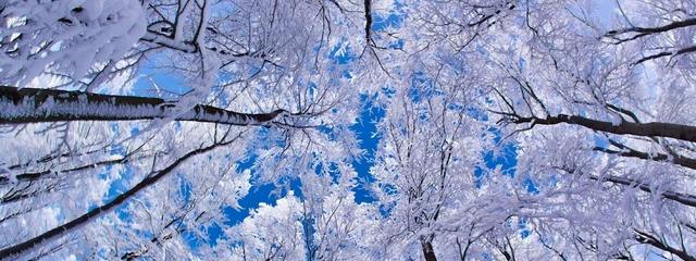 ����� ����� ������ �� ���������������� � ����� ���