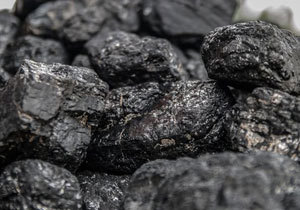 ���� �� 11 ������� �������� ������ ���� ����� � �� 8,8% - �� 20,9 ��� ����