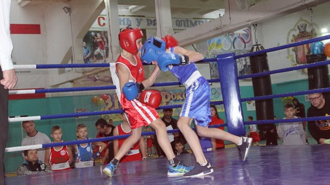 В Каменском состоялся большой боксерский турнир