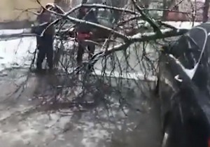 � ����� ������������ �������� ������� ����