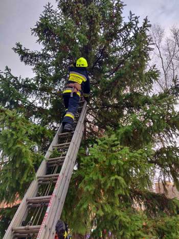 � ����� ������������ ����� ���� � ������