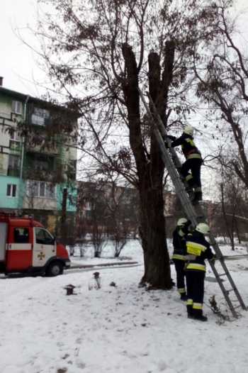 � ������ ��������� ���������� �������� ��������