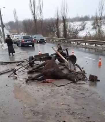 ��������� � ������ � ������ � ������ ����: ������ ������, ���� � �����������