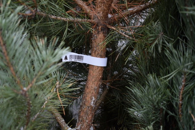 ��� ������ ���� � ���������?