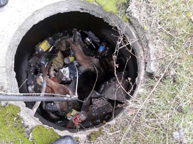 � ������ ���������� ������ �������� ���������� �������� ��������