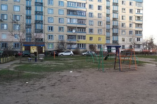 Бюджет участия: на левобережье Каменского предлагают обустроить спортплощадку с велодорожкой