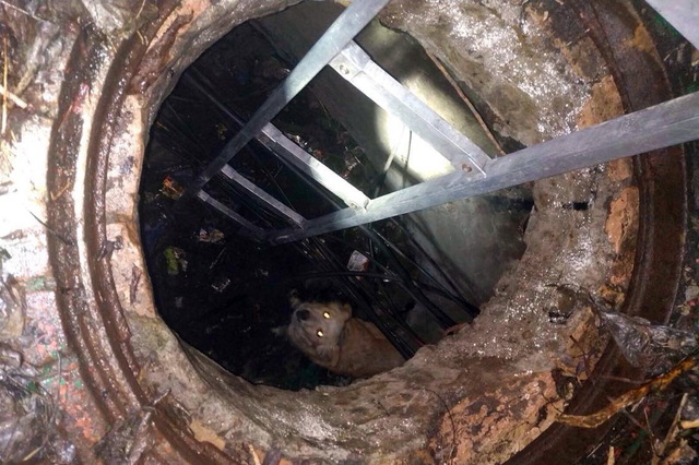 � ��������� ������ ������, ������� � �������� ���������������� �������