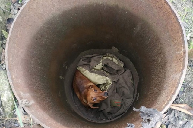 � ������ ���������� ���� ���������� �������� ��������