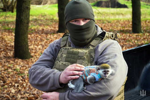 Обезьянка стала живым талисманом Днепровской бригады «Дикое поле»