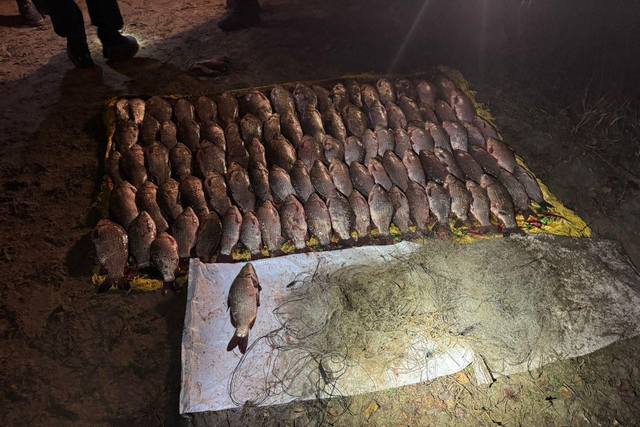 Вилов за допомогою забороненого знаряддя. Дніпропетровський рибоохоронний патруль/Facebook На Дніпровському водосховищі викрили двох рибалок із забороненим знаряддям лову