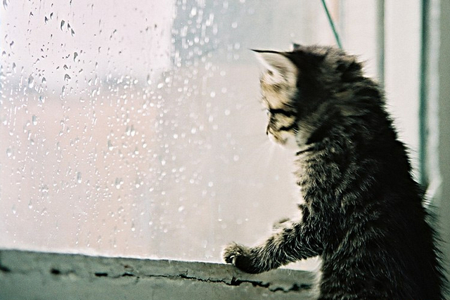 ілюстративне фото з відкритих джерел Мряка, туман та похолодання: прогноз погоди по Дніпропетровщині на перший тиждень зими