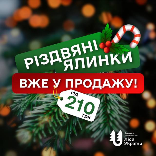 На Дніпропетровщині лісгоспи вже розпочали продаж ялинок