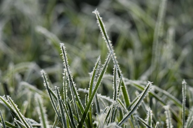Початок грудня на Дніпропетровщині видався теплішим на 3,5-4,5° від норми