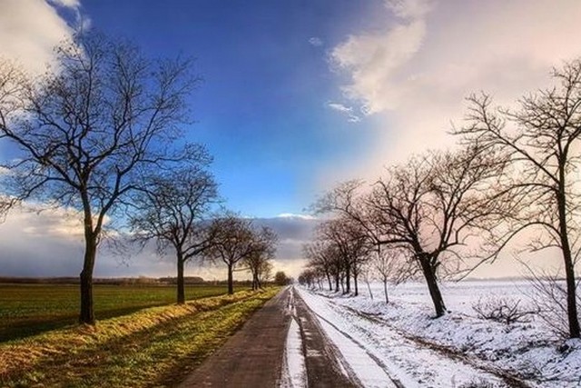 ���� �� ������ ��� ������ ������: ������� ������ �� ������� �� ����������������