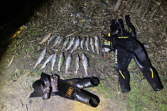 Риба та амуніція для підводної риболовлі. Дніпропетровський рибоохоронний патруль/Facebook На Дніпропетровщині викрили та припинили незаконну підводну риболовлю