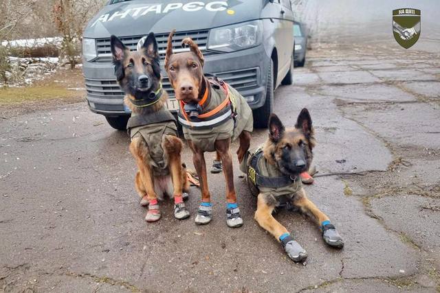 �� � ��������� ������ ��������� ����