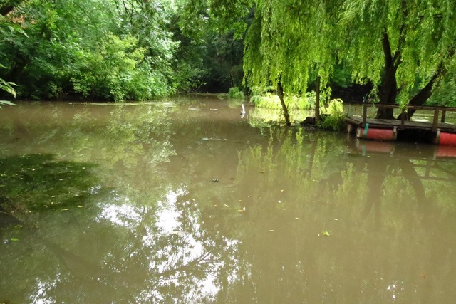 ������� ������������� ������ � ����������� ����� ������