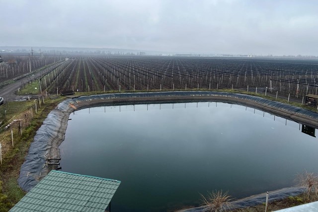 ��� ��� ������� ���������� �������� ����