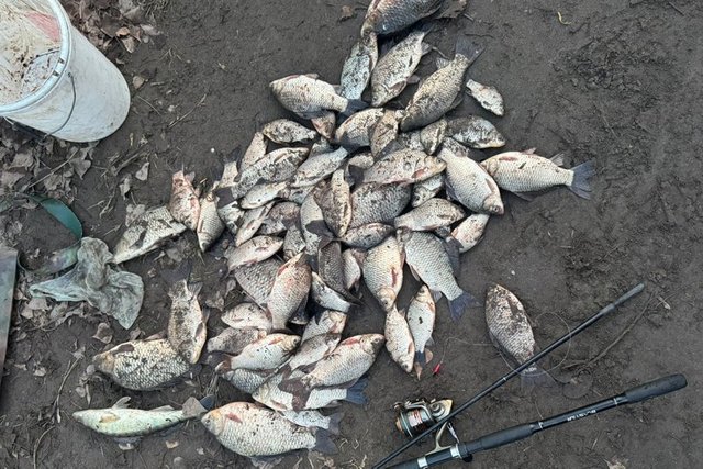 Риба, яку вилучили у чоловіка. Дніпропетровський рибоохоронний патруль Ловил на тройной крючок. На жителя Днепропетровщины составили админпротокол за нарушение правил рыболовства