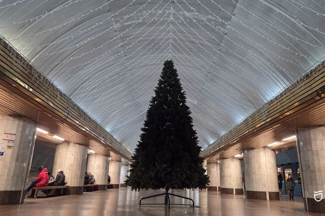 Головна зелена красуня Дніпра засяє 26 грудня