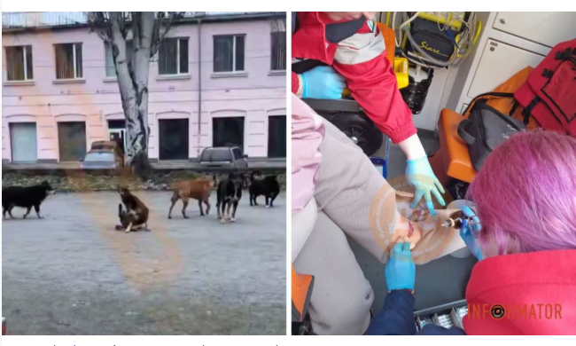 ���� ��������� ����� �������� ������� �� ����� ����� ������������� � ������