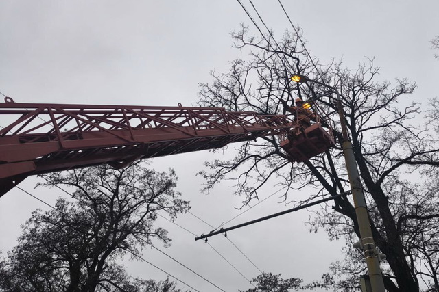 6 834 ��� ����� �� ����� 133 �� �������� ����: � ����� ������������ �������� ��������� 